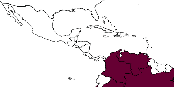 map of Neocorynura caligans     (Vachal, 1904)